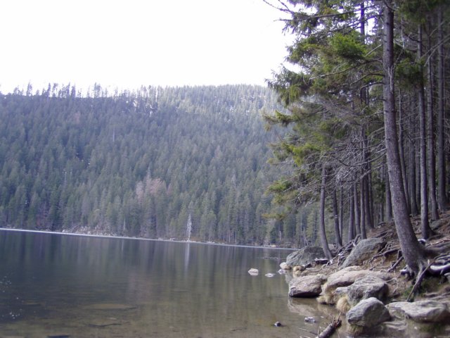 p1013073.jpg