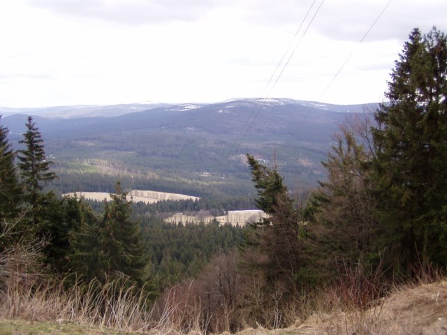 p1013077.jpg