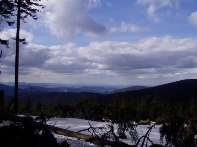 p1013084.jpg