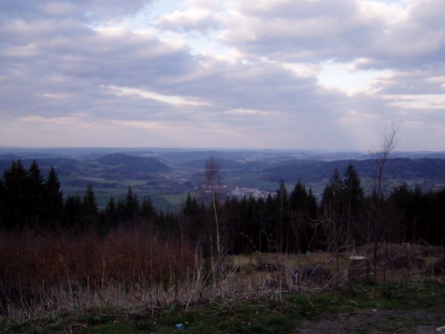p1013093.jpg